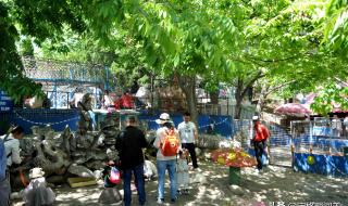 动物餐厅摊主解锁攻略 动物餐厅摊主解锁攻略